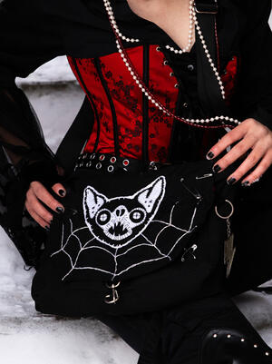 bat bag